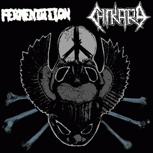Chikara : Fermentation - Chikara Chikara : Fermentation - Chikara